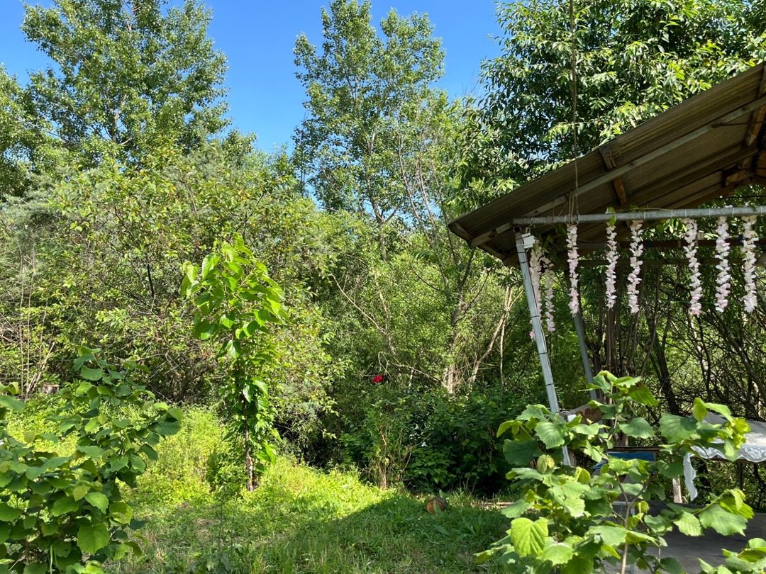 Həyət evi kirayə verilir, Qusar r — Ev, villa, Qusar (4)