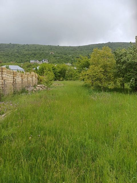 12 sot torpaq sahəsi, Şamaxı r — Şamaxı