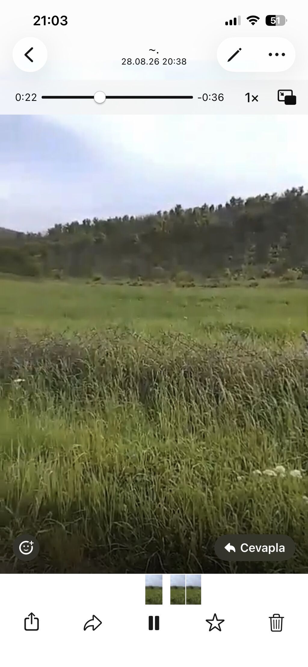 Quba seherinin deveci rayonu Zeyve kendi Devecinin alt yaninda 1hektar — Torpaq, Bakı (6)