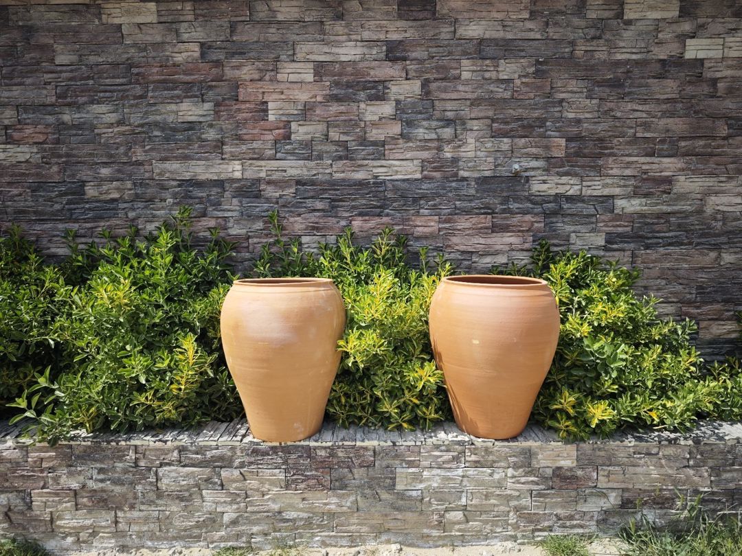 Saxsı — Mallar, Bakı (3)
