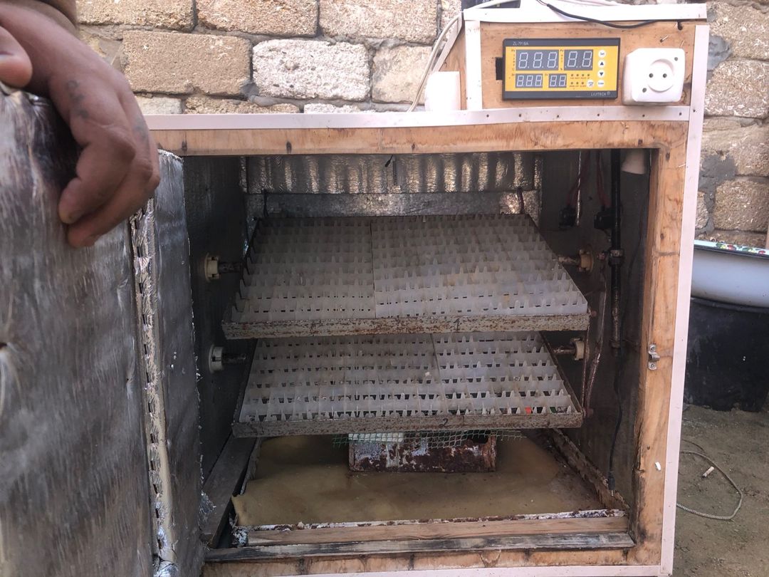İnkubator — Biznes və avadanlıq, Bakı (2)