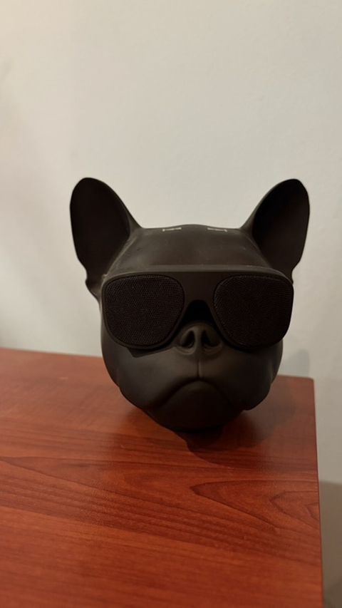 Bluetooth-kolonka Ibiza Sound Dog-sound Qeyri-adi dizayna malik — Bakı