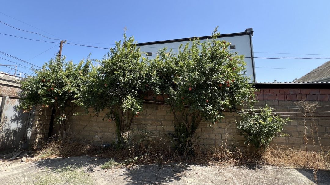 Satılır torpaq 4 sot — Torpaq, Bakı (4)