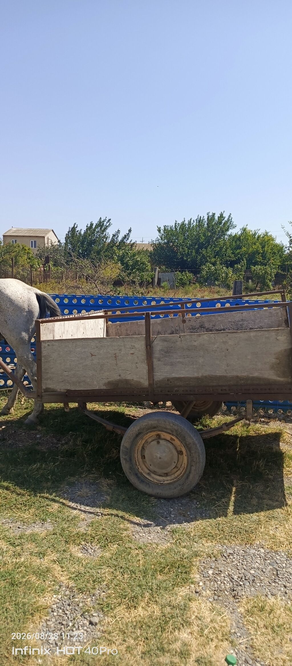 At arabası və qoşqu dəsti - İki təkərli, yarımörtülü taxta bortlu — Avto, Xızı (2)