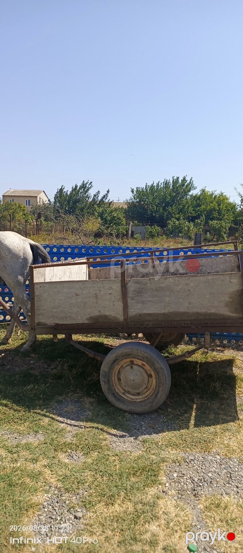 At arabası və qoşqu dəsti - İki təkərli, yarımörtülü taxta bortlu — Avto, Xızı (2)