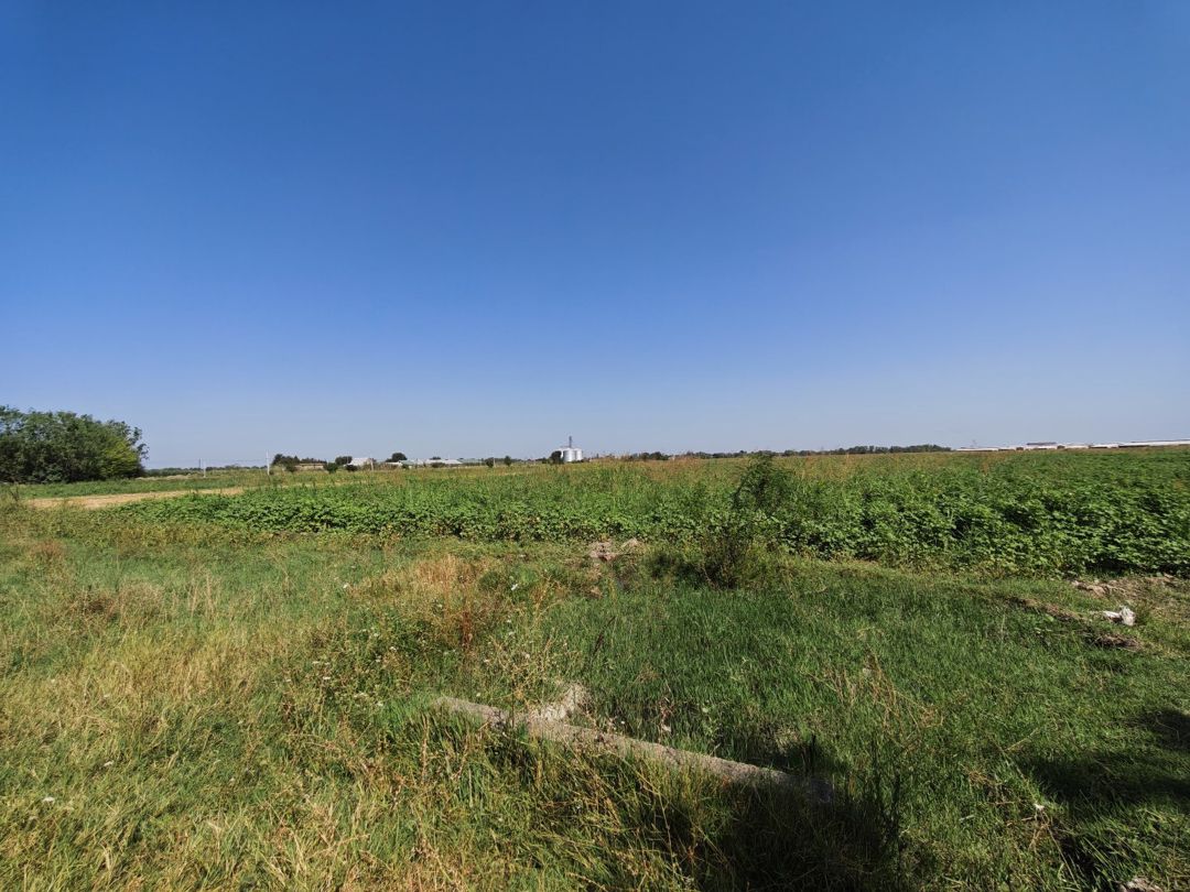 300 sot torpaq sahəsi, Ağcabədi r — Torpaq, Ağcabədi (3)
