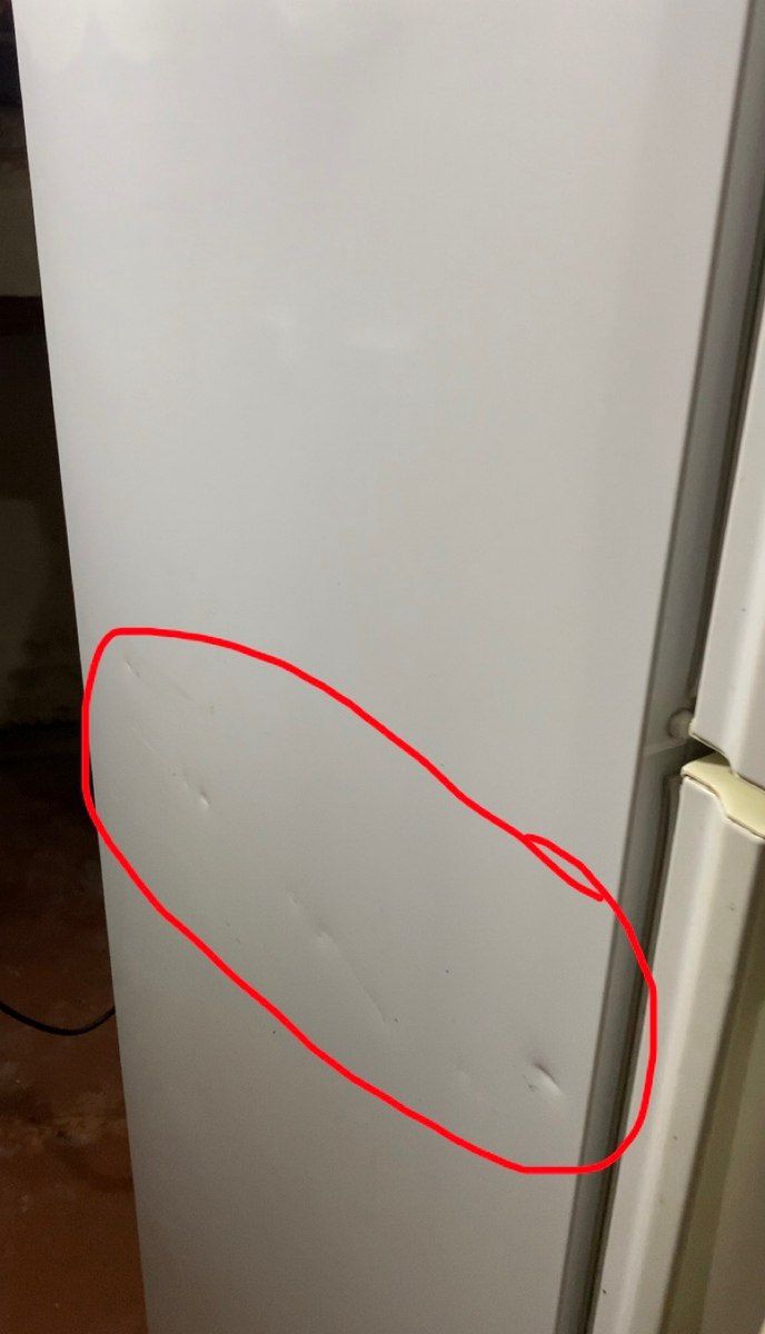 Soyuducu Samsung — Ev texnikası, Bakı (8)