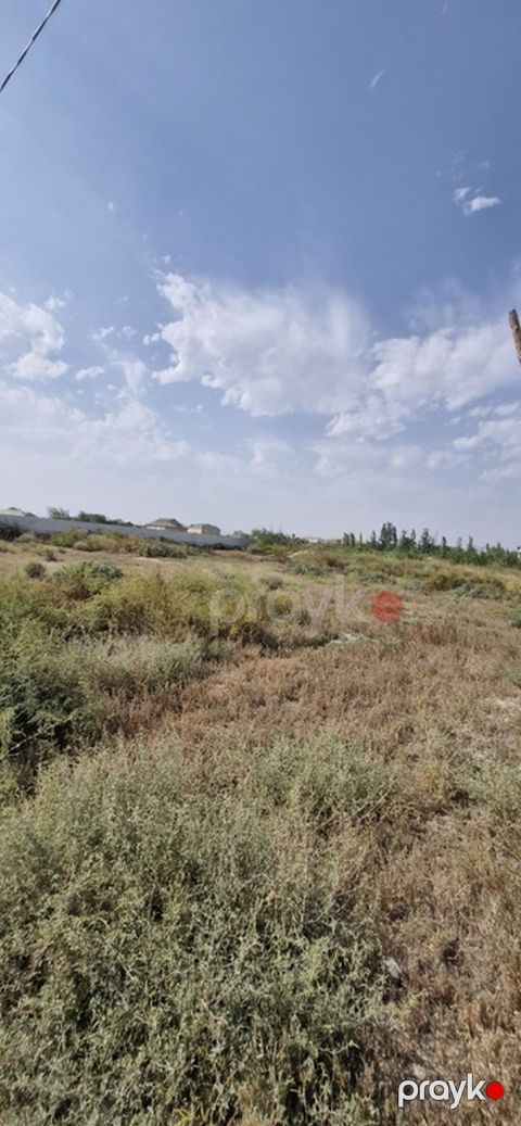 Tikinti