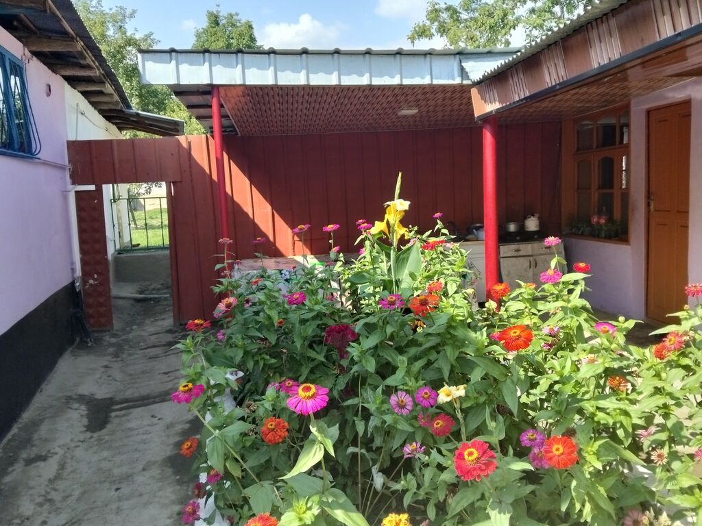 Vəndam, 5 kv. m, 3 otaqlı, Hovuzsuz — Daşınmaz əmlak, Qəbələ (7)