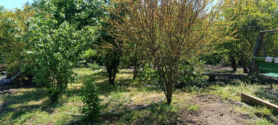Həyət evi, Cəlilabad r — Ev, villa, Cəlilabad (9)