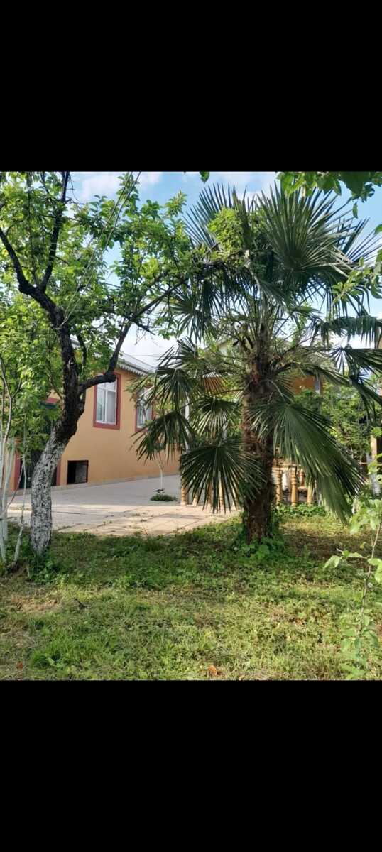 Həyət evi kirayə verilir, İsmayıllı r — Ev, villa, İsmayıllı (2)