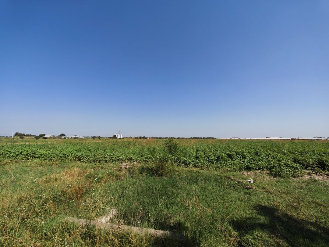 300 sot torpaq sahəsi, Ağcabədi r — Torpaq, Ağcabədi (6)