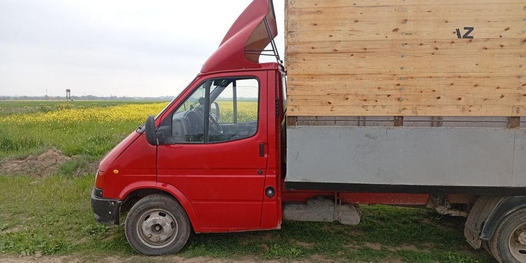 Ford Transit, 1998 il — Avto, Gəncə (4)