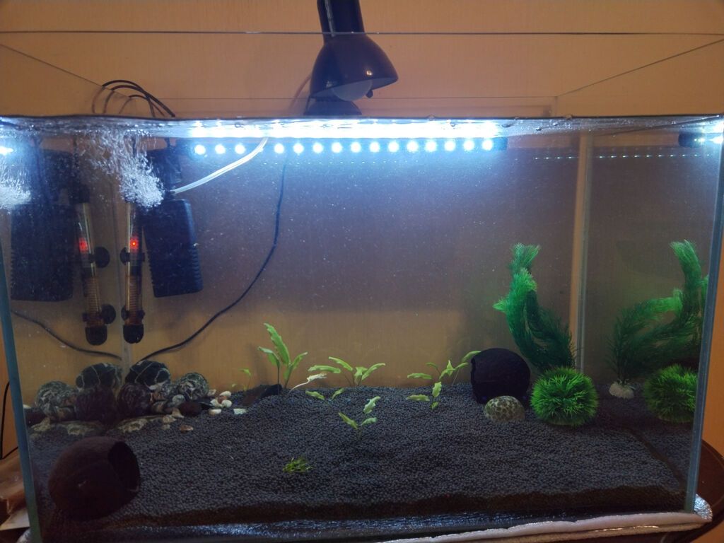 Dördbucaq akvarium, 140 l — Heyvanlar, Bakı
