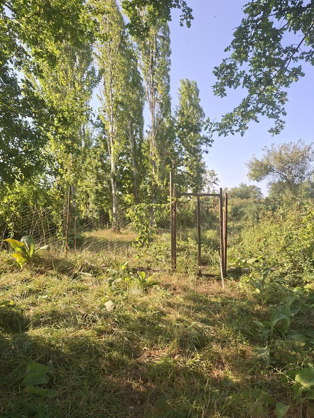 Həyət evi, Xaçmaz r — Ev, villa, Xaçmaz (6)