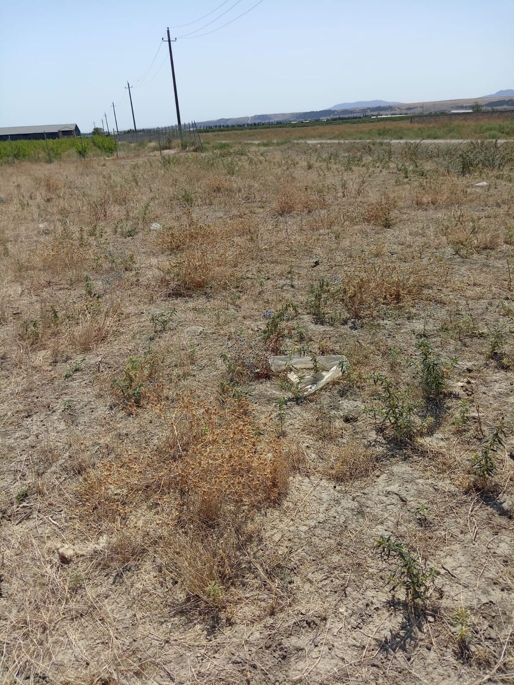 Tikinti — Torpaq, Bakı (6)