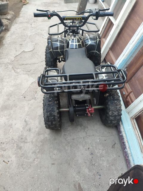 Uşaq/yeniyetmə üçün mini ATV (kvadrotsikl) - Gövdə rəngi
