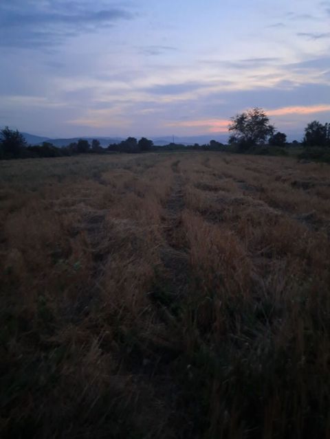 64 sot, Kənd təsərrüfatı, Kupça (Çıxarış) — Xaçmaz