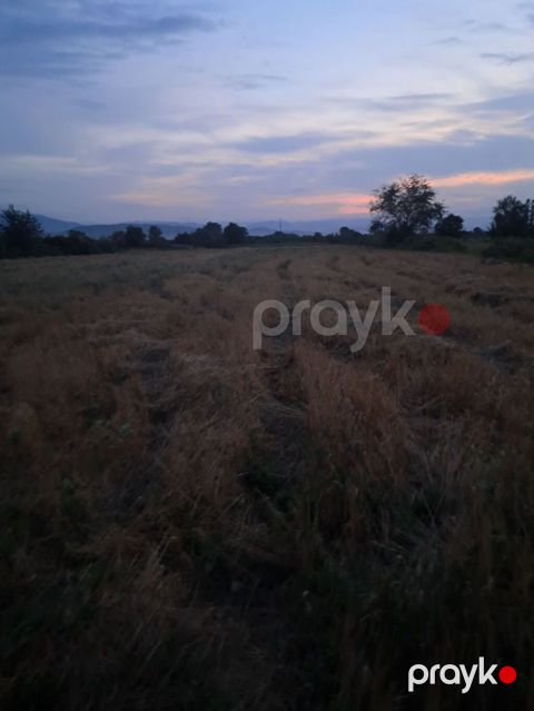 64 sot, Kənd təsərrüfatı, Kupça (Çıxarış)