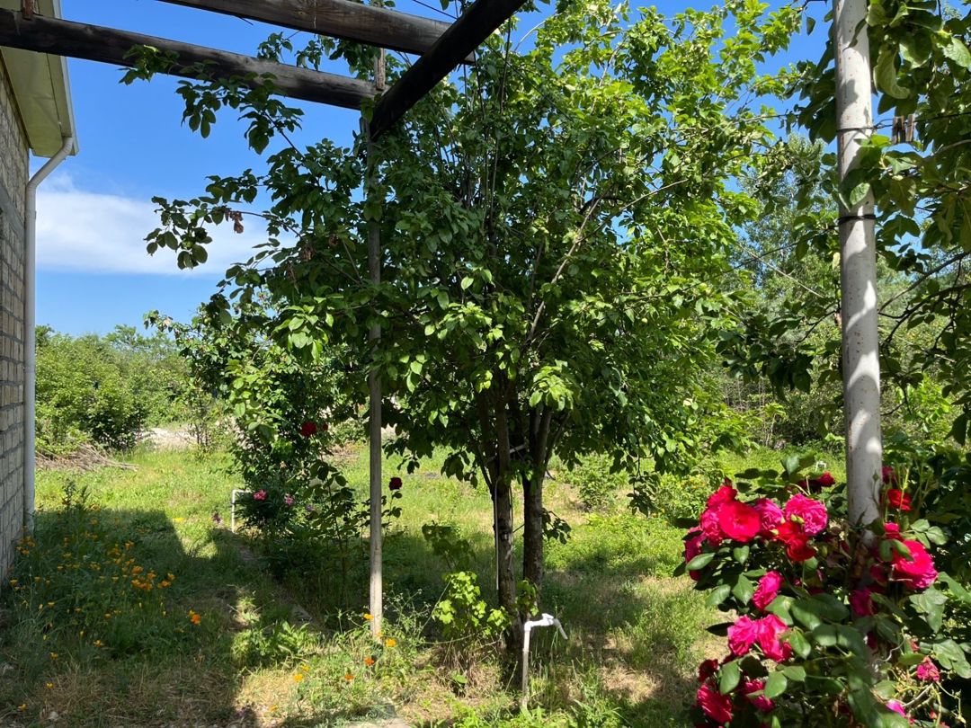 Həyət evi kirayə verilir, Qusar r — Ev, villa, Qusar (6)