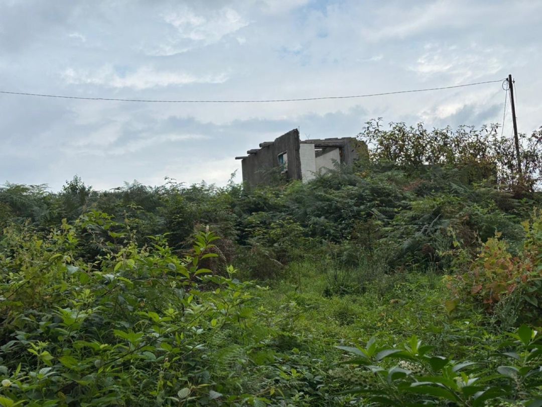 10 sot torpaq sahəsi, Batumi ş — Daşınmaz əmlak, Bakı (3)