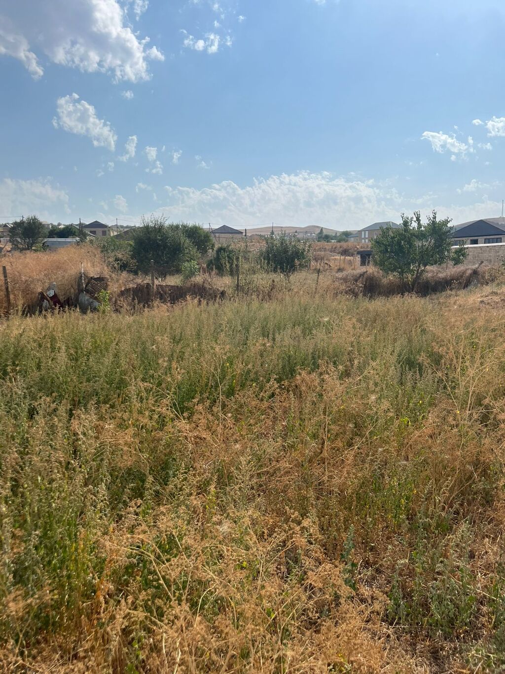 Tikinti — Torpaq, Bakı (2)