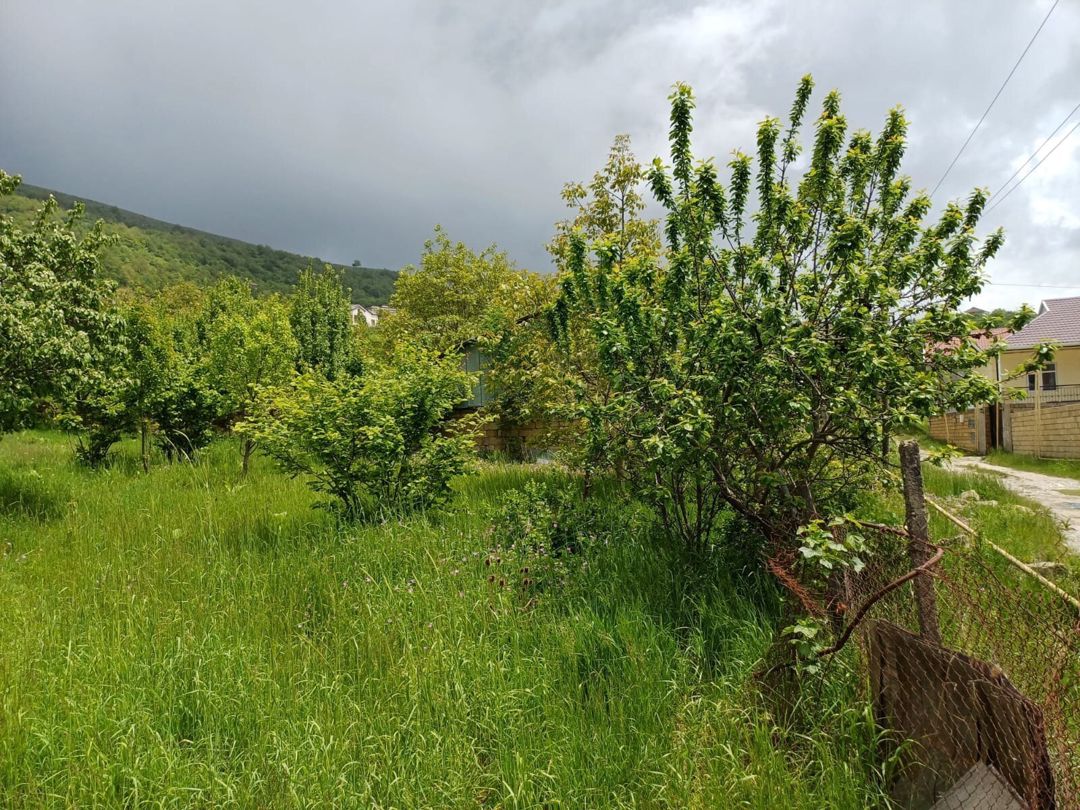12 sot torpaq sahəsi, Şamaxı r — Torpaq, Şamaxı (5)