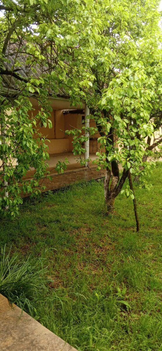 Həyət evi kirayə verilir, İsmayıllı ş — Ev, villa, İsmayıllı (7)