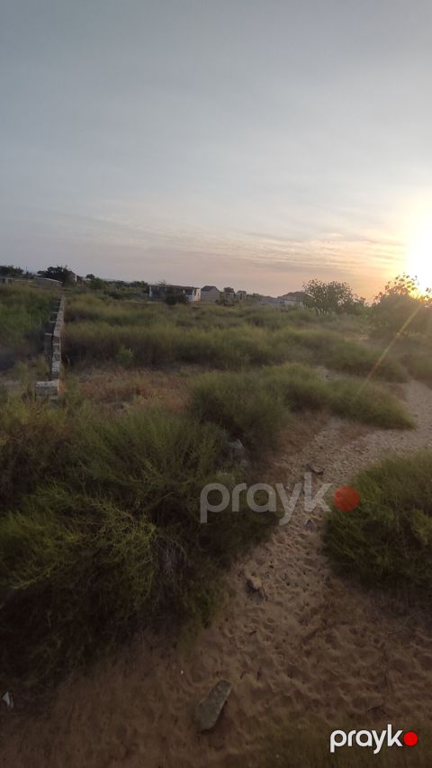 5 sot, Tikinti, Maklerlər narahat etməsin, Kupça (Çıxarış)