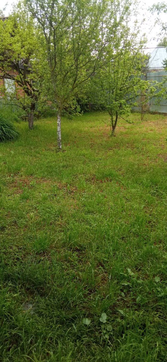 Həyət evi kirayə verilir, İsmayıllı ş — Ev, villa, İsmayıllı (4)