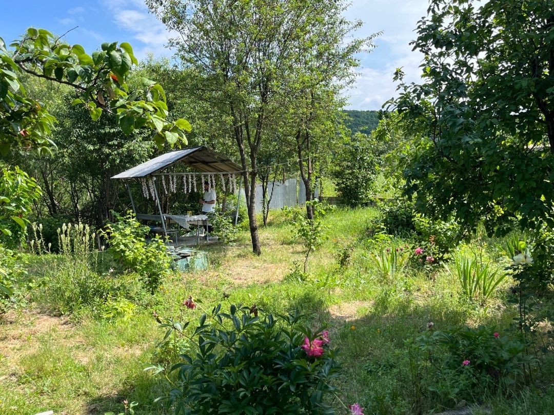 Həyət evi kirayə verilir, Qusar r — Ev, villa, Qusar (5)