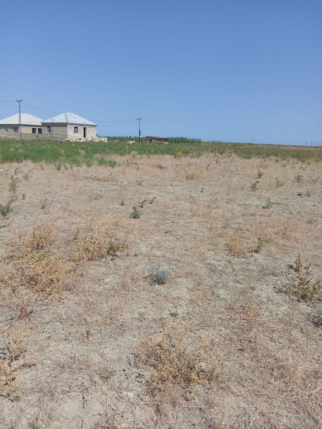 Tikinti — Torpaq, Bakı