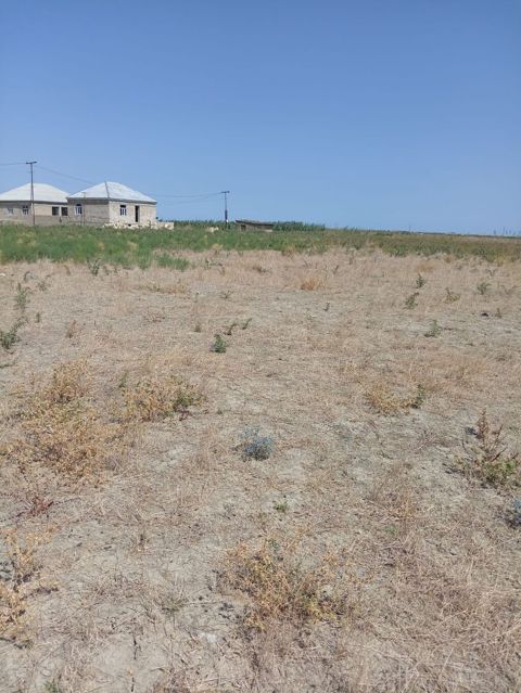 Tikinti — Bakı