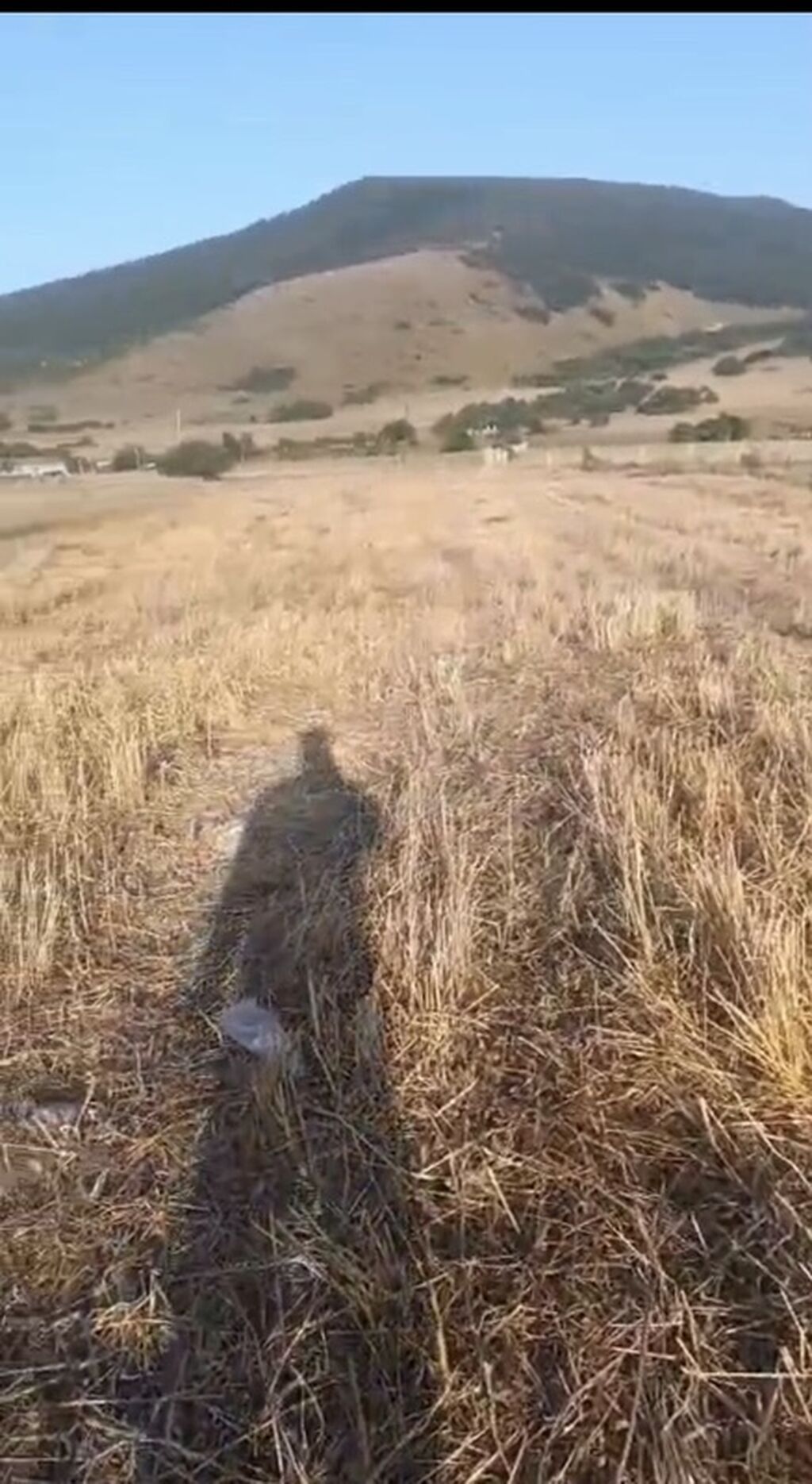 392 sot, Kənd təsərrüfatı, Kupça (Çıxarış) — Torpaq, Bakı (3)