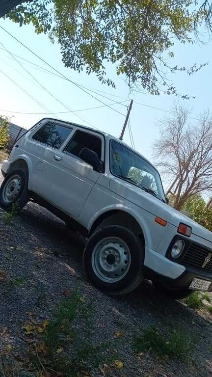 Lada (VAZ) Niva, 1.7 L, 1998 il, 250 000 km — Avtomobillər, Bərdə (6)
