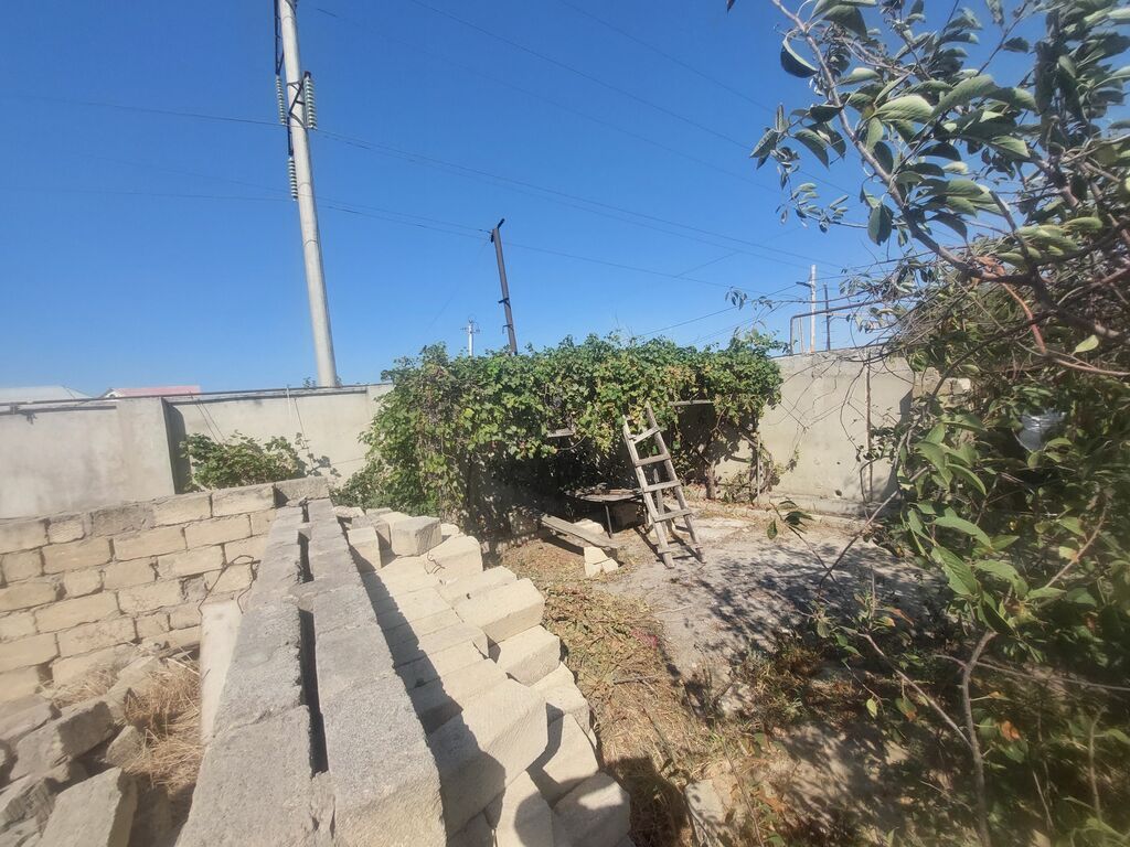 Tikinti — Torpaq, Sumqayıt (3)