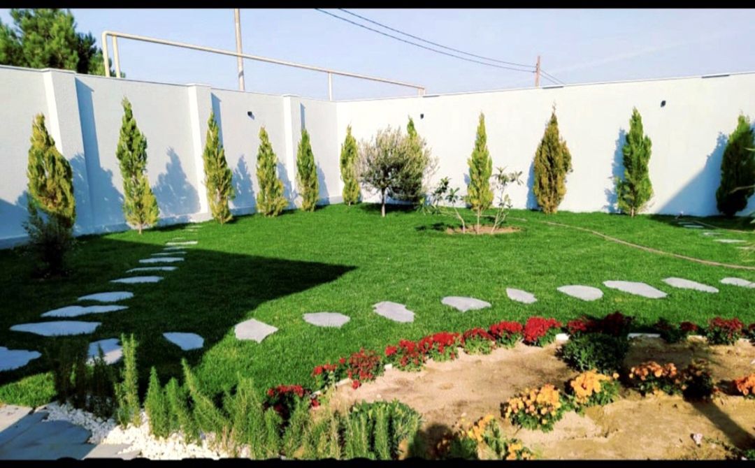 Qazon — Bitkilər, Bakı (8)