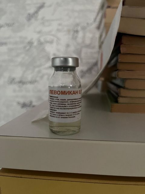 Levomikan 0,5% – baytarlıq antibakterial məhlul Məhsul: - Levomikan — Bakı