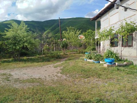Həyət evi, Şəki ş — Şəki