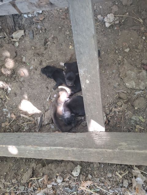 1 ay, Ünvandan götürmə — Bakı