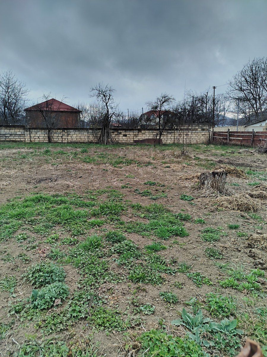 6.3 sot torpaq sahəsi, Alpan kəndi — Torpaq, Bakı (3)