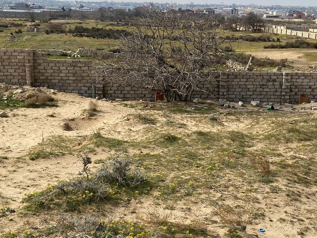 Tikinti — Torpaq, Digah (3)