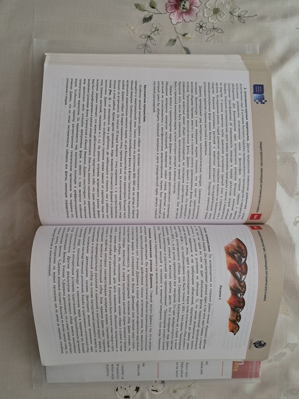 Biologiya 11-ci sinif, 2022 il, Ünvandan götürmə — Mallar, Mingəçevir (6)