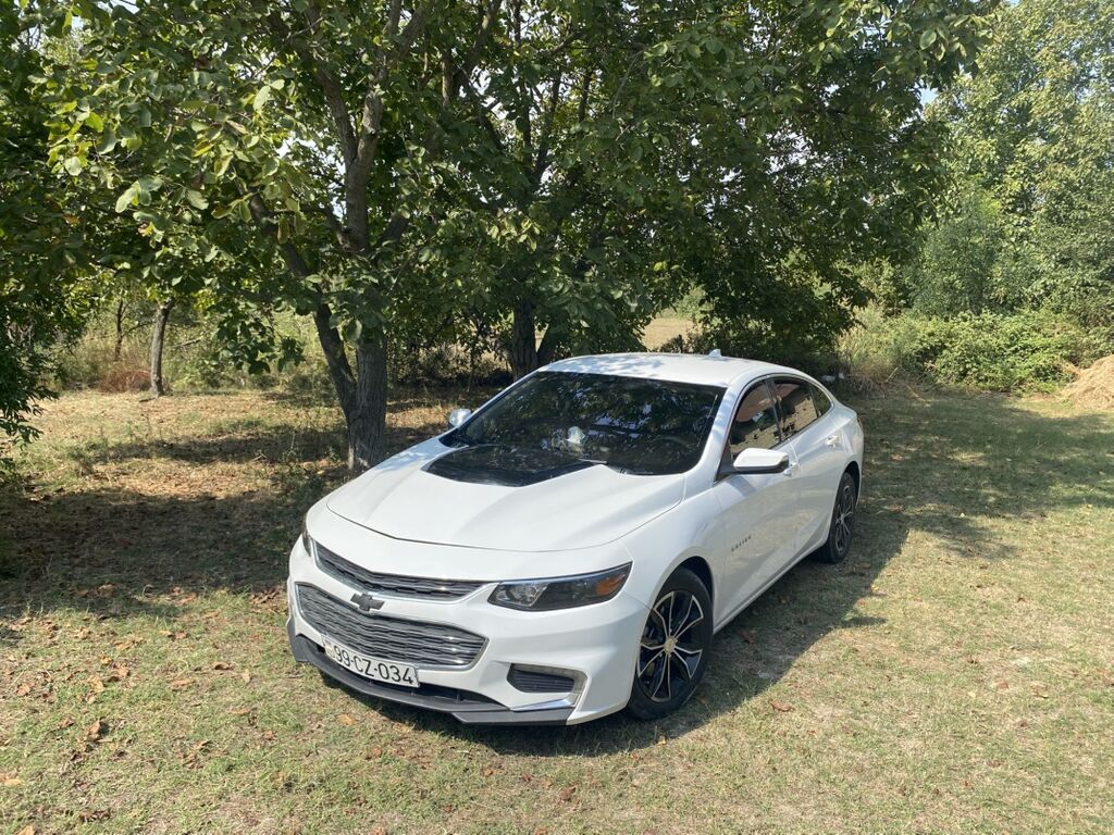 Chevrolet Malibu sedan – ağ rəng, zərif və dinamik dizayn — Avto, Bakı (6)