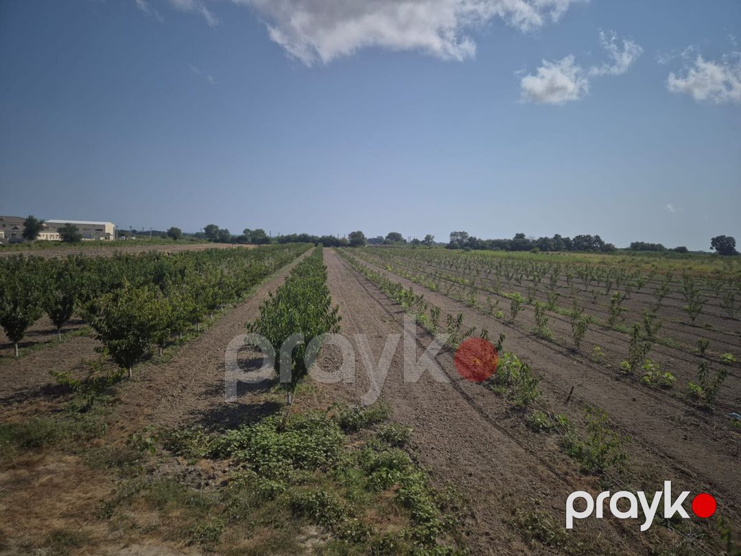 3.2 sot torpaq sahəsi, Xaçmaz - Nabran yolu — Torpaq, Xaçmaz (5)