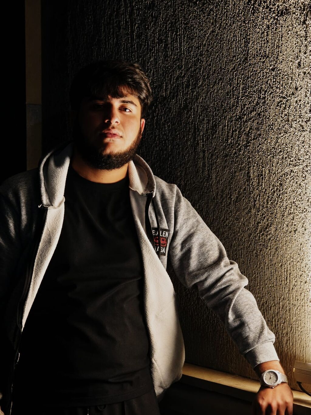 Boz rəngli kapüşonlu zipli sviter - Rəng: Boz (açıq-boz qol və — Şəxsi əşyalar, Fatmayı (3)