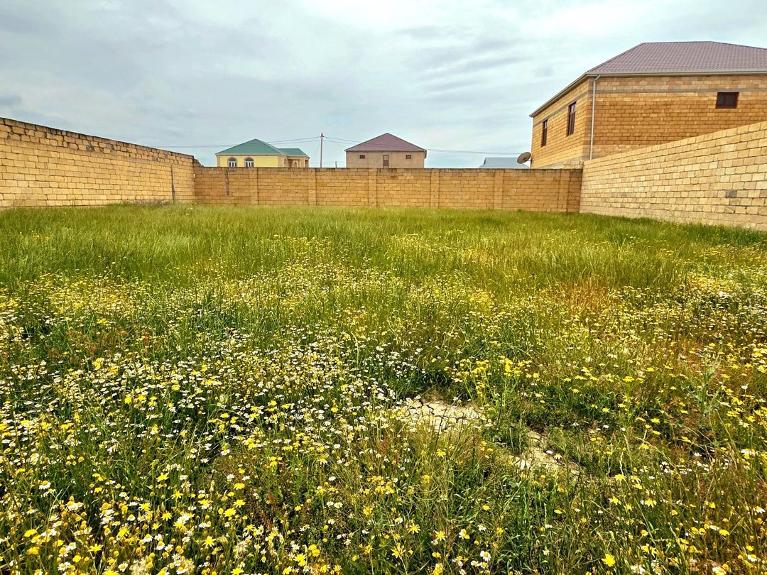 3 sot torpaq sahəsi, Şirvan ş — Torpaq, Şirvan (8)