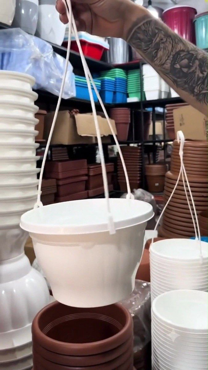 Plastik asılqanlı dibçəklər — Bitkilər, Bakı (10)