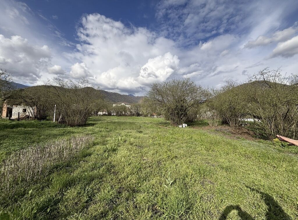 Tikinti, Mülkiyyətçi, Kupça (Çıxarış) — Torpaq, Zaqatala (3)