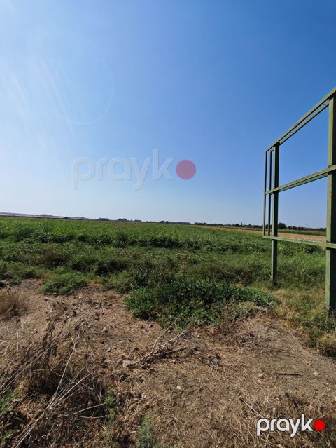 300 sot, Kənd təsərrüfatı, Mülkiyyətçi, Kupça (Çıxarış)
